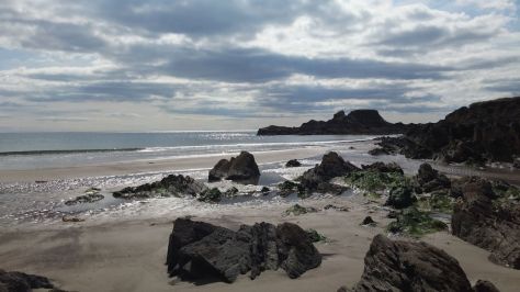 20150904_151835 1038