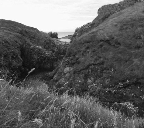 Galley Head west creek